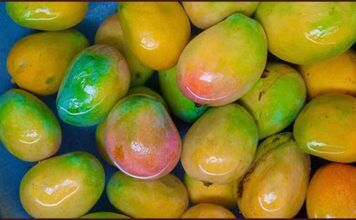 மாம்பழம் சாப்பிடுவதில் கூட அறிவியல் இருக்கிறதா ? ஆய்வாளர்கள் கூறுவது என்ன ?