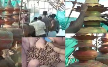 திருச்செந்தூர் கோவில் கலச நவதானியம் 12 ஆண்டுகளுக்கு பின் அதிசயம் பக்தர்கள் பரவசம்!